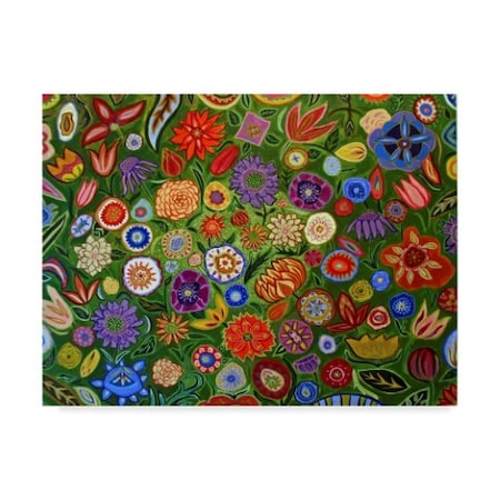 Catherine A Nolin 'Abstract Floral 0040' Canvas Art,35x47
